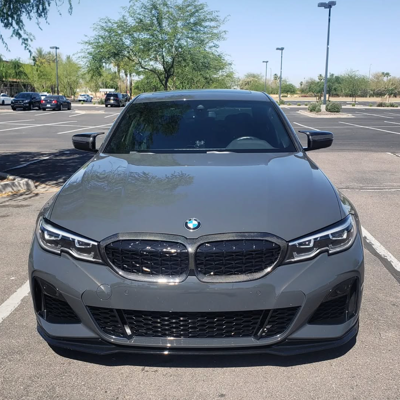 BMW 3 Serie G20/G21 Pre-LCI Carbon Ruit Nieren Grill (2019-2022)